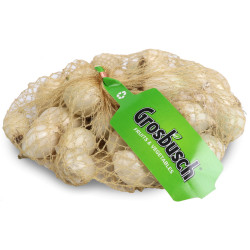 OIGNON GRELOT BLANC GROSBUSCH PREPACK FILET 10X300G
